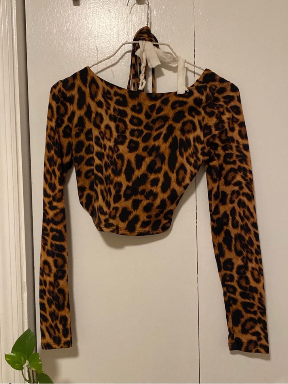 Leopard Print Long-Sleeve Crop Top - Brown